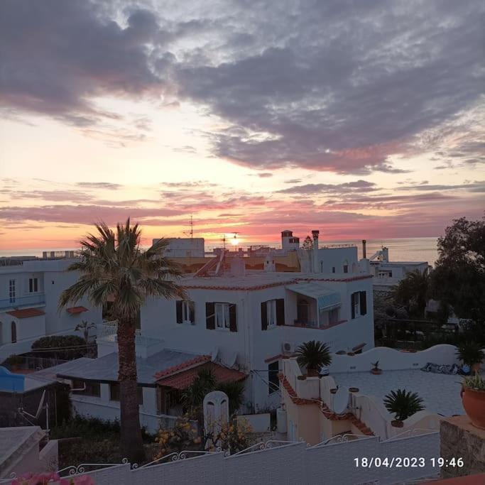 Dimora Di Meglio A Un Passo Dal Mare Apartment *